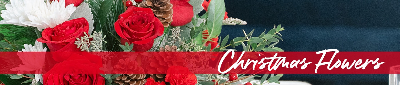 Send Christmas Flowers